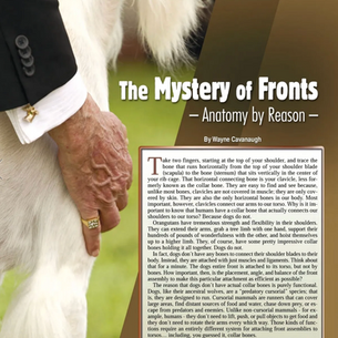 The Mystery of Fronts