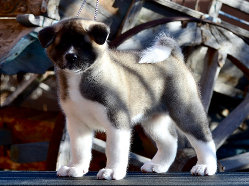 Rain @ 7 Weeks
