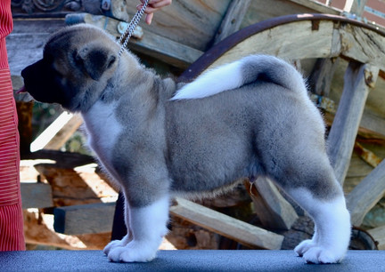 Quinn @ 7.5 Weeks.