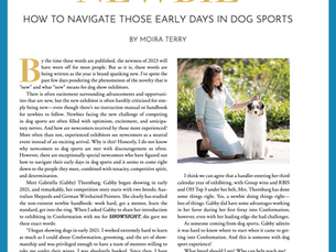 The Successful "Newbie"