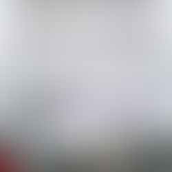 Searching For Your First Show Dog