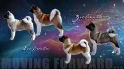 Facebook Banner 2nd & 3rd Generation