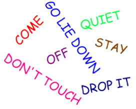 Early Puppy Training Guide By Dr. Battaglia