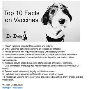 Top 10 Facts on Vaccines