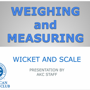 AKC Measuring Height and Weight