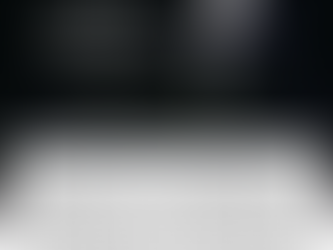 Templates and Silhouettes: More Than Just An Eye for A Dog