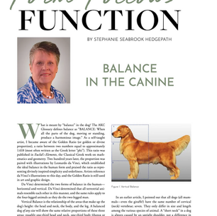 Form Follows Function: Balance in The Canine