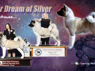 Bitch Line Is The Key