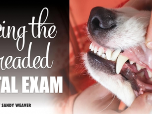 Acting The Dreaded Dental Exam