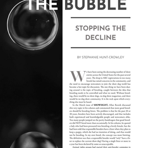 The Bubble: Stop The Decline