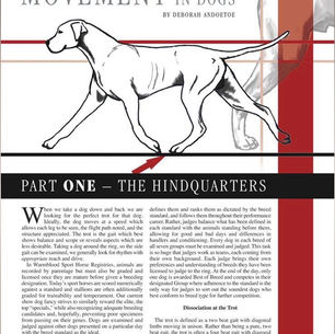 Examination of Movement: Hindquarters