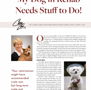 My Dog in Rehab Needs Stuff to Do!