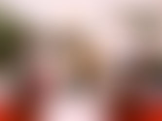 In Search of The Perfect Stud Dog