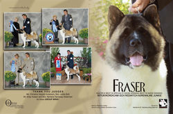 Dog News (Nov 2013)