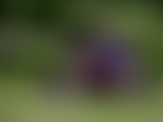 Keep It Simple. - By Juha Kares