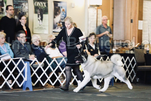 National Specialty 2019