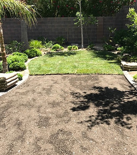 Continue sod installation