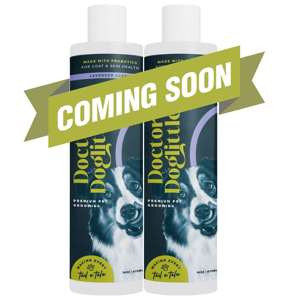 Doctor Doglittle Lavender Love Duo dog grooming bundle deal, probiotic shampoo conditioner detangler serum coming soon