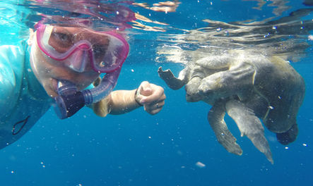 Christine Figgener with mating couple.JPG