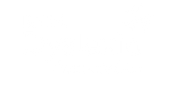 BDA_Mono_White_Logo_Transparent.png