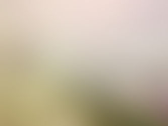 Ailments, injuries and enemies of the long lived and long suffering Mullet.