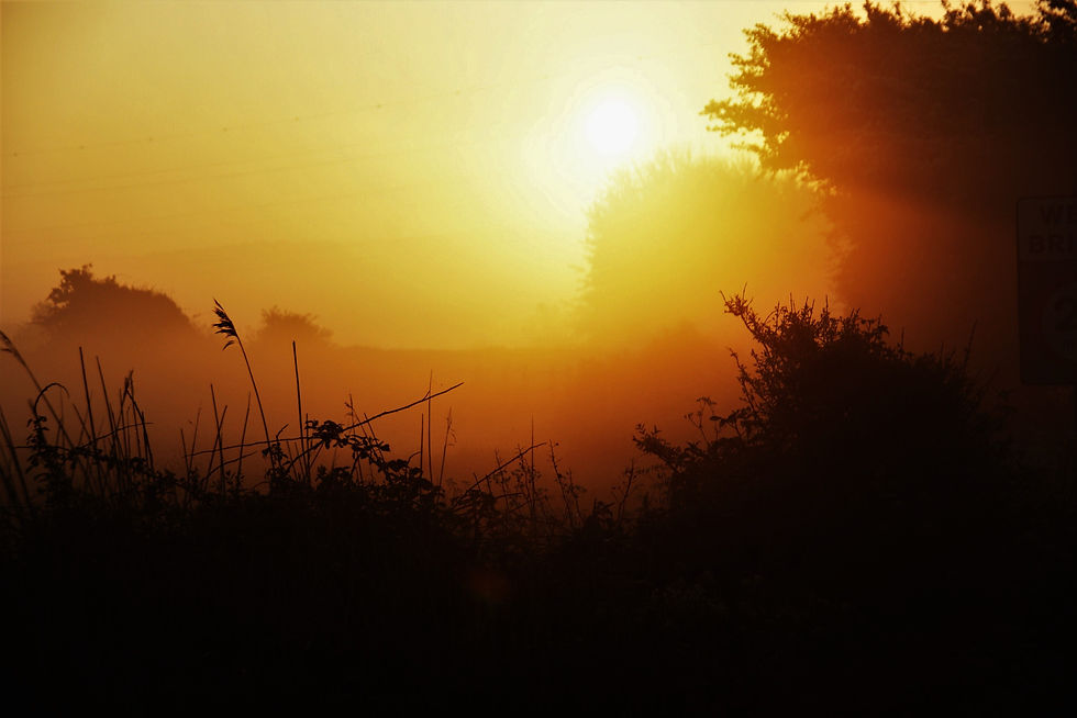 Sunrise Southease