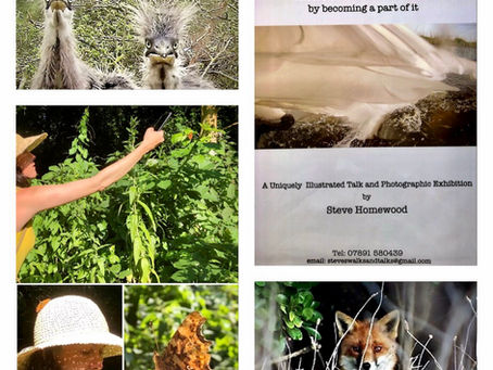 "Take a walk on the wild side"