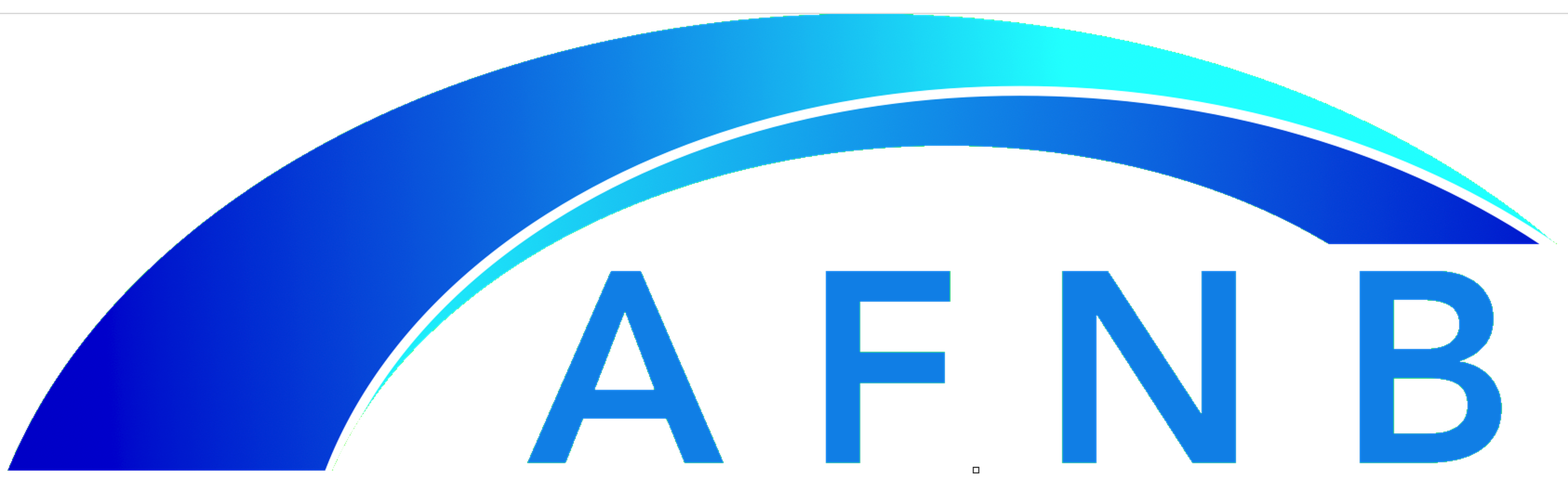 AFNB_transparent_3000px_400dpi (2).png
