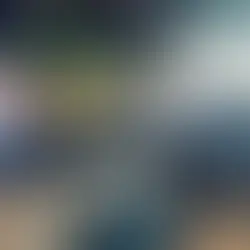 une chouette est repassée