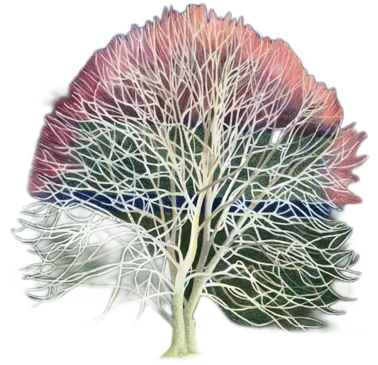 l'arbre