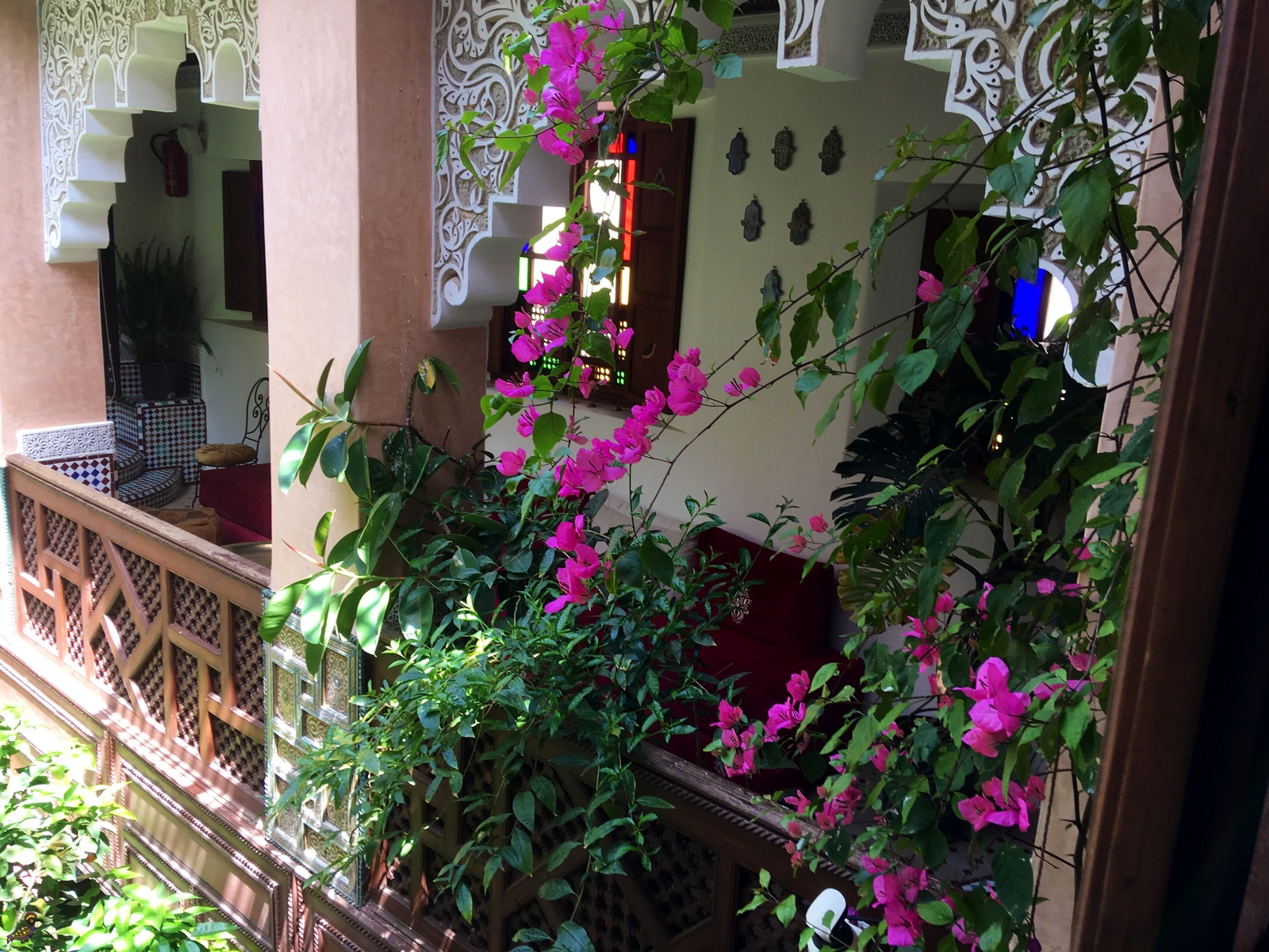 le bougainvillée