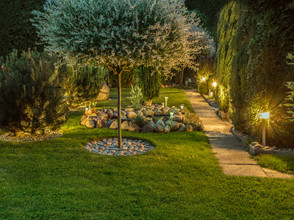 Landscape Lighting Path and Trees.jpeg