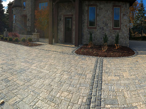 Teddy's Driveway2.jpeg
