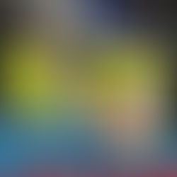 Bell Stars on Record-Breaking Day Three in Hawke's Bay