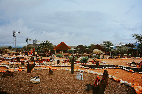 DSC_7201.jpg