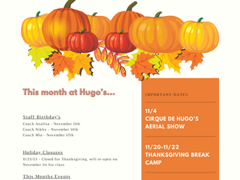 November 2023 Newsletter