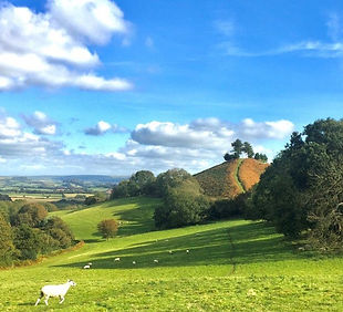 Colmers-Hill-Symondsbury-c-Benita-White.jpg