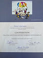 Darina schartman, cooperation, coach darina, schartman group.jpeg