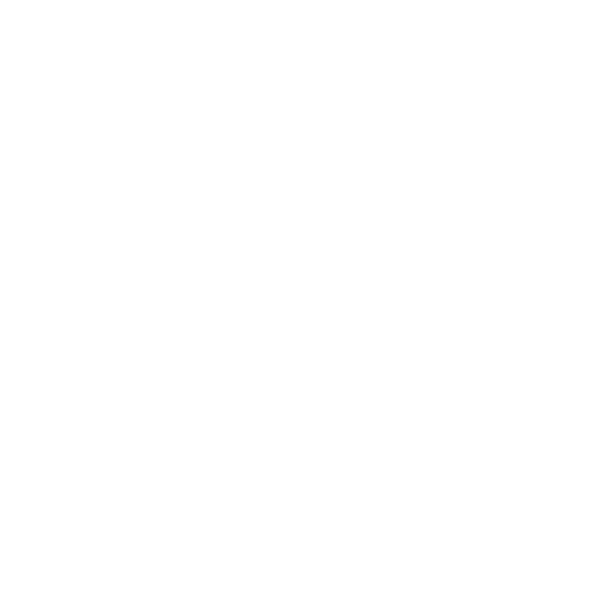 wired-outline-680-it-developer (1).gif