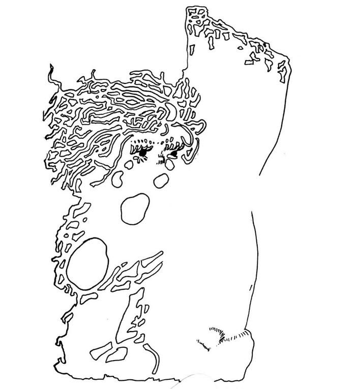 F51A54F7-69A9-41AF-B0B6-6DDDA57E4602.jpeg