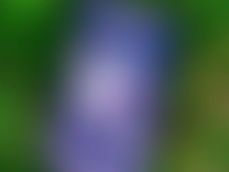 TikTok, il dominio con più traffico del 2021