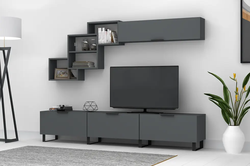 Tv Unitesi