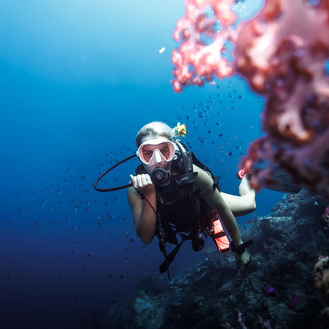 scuba-diving-reconnect-sulawesi.jpg