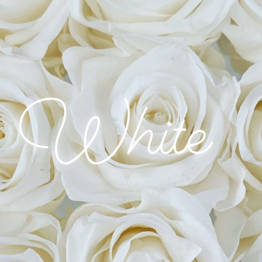 Signature 9 Rose Bloom Box - White