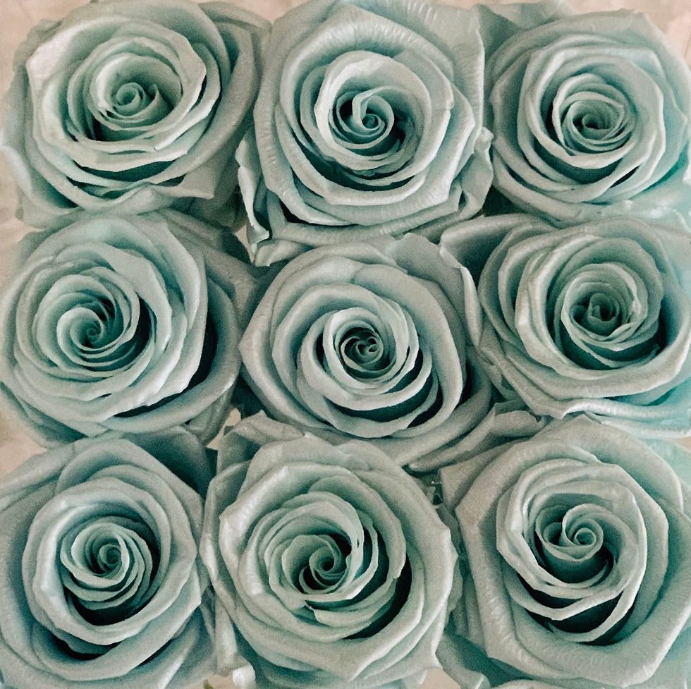 Signature 9 Rose Bloom Box - Fairy Dust Baby Blue Pearl