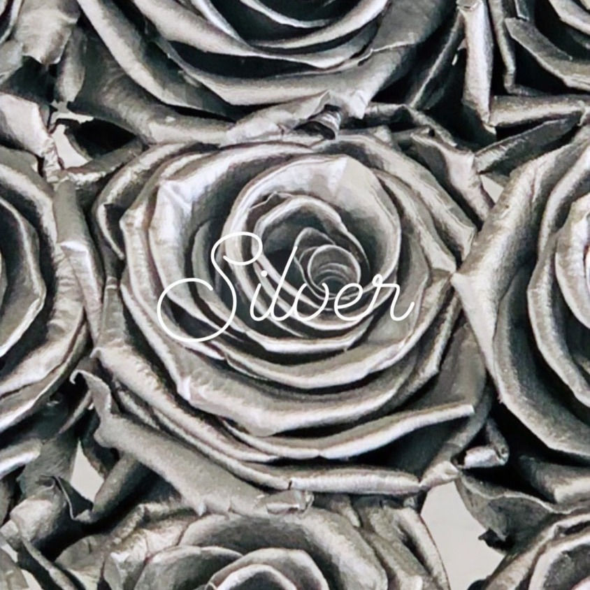 Signature 9 Rose Bloom Box - Metalized Silver