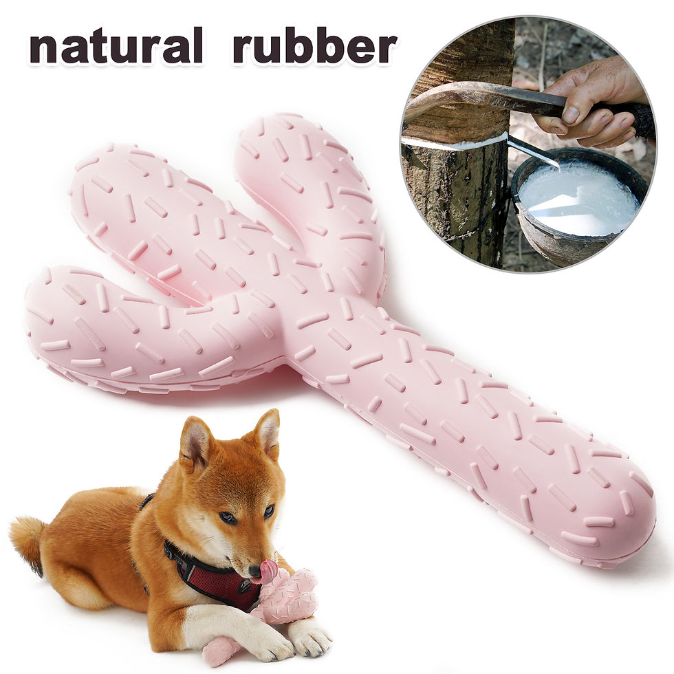 Thumbnail: Rubber Cactus Toy