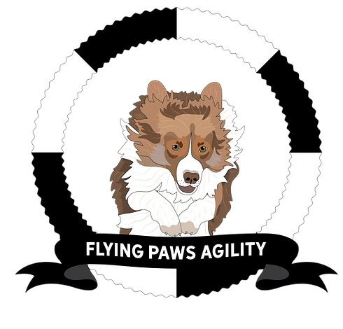 flying%2520agility%2520logos-02_edited_edited.png