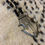 Thumbnail: Tuareg silver necklace