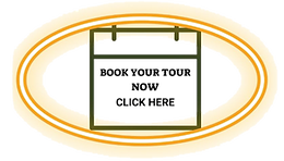 BOOK YOUR TOUR (2)_edited.png